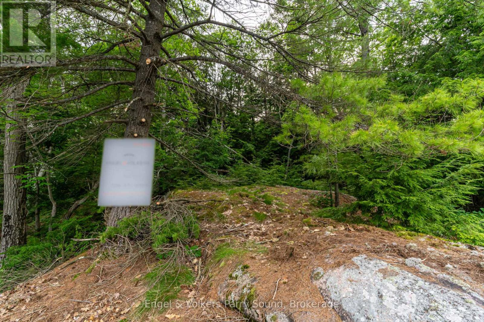 16 Giles Road, Seguin, Ontario  P2A 0B2 - Photo 23 - X12972284