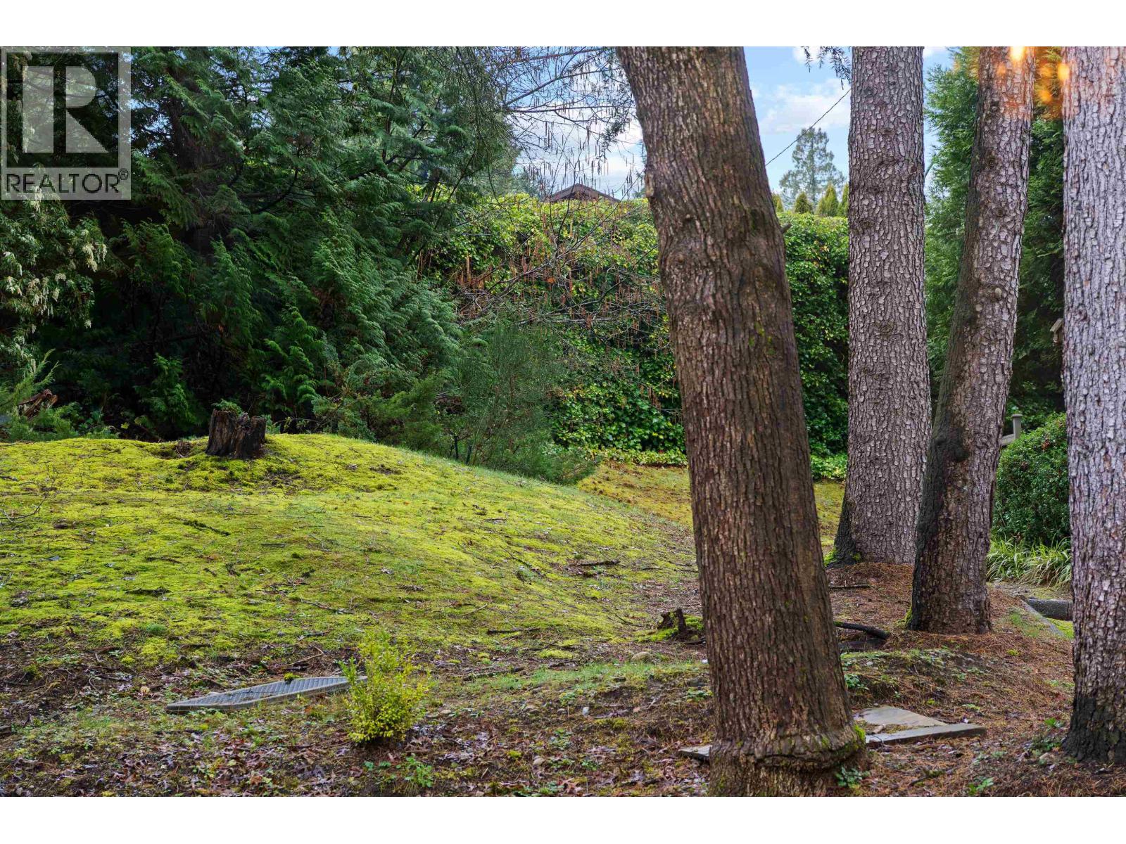 22 2880 Dacre Avenue, Coquitlam, British Columbia  V3C 4H6 - Photo 24 - R3108474