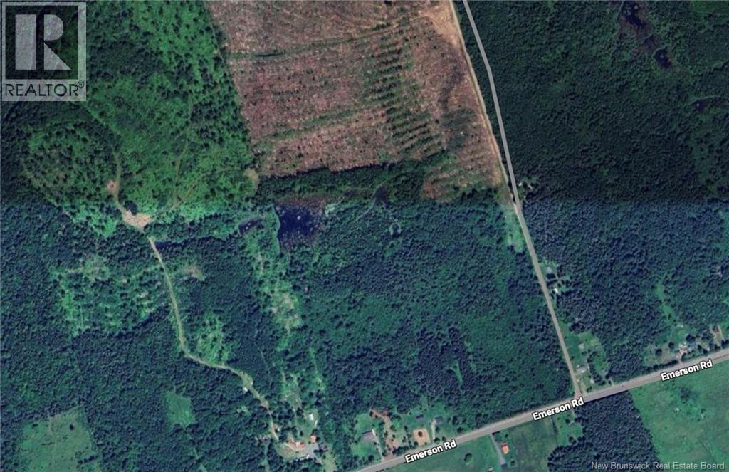 Lot Arthur Symes Lane, Beersville, New Brunswick  E4T 2M5 - Photo 4 - NB134859