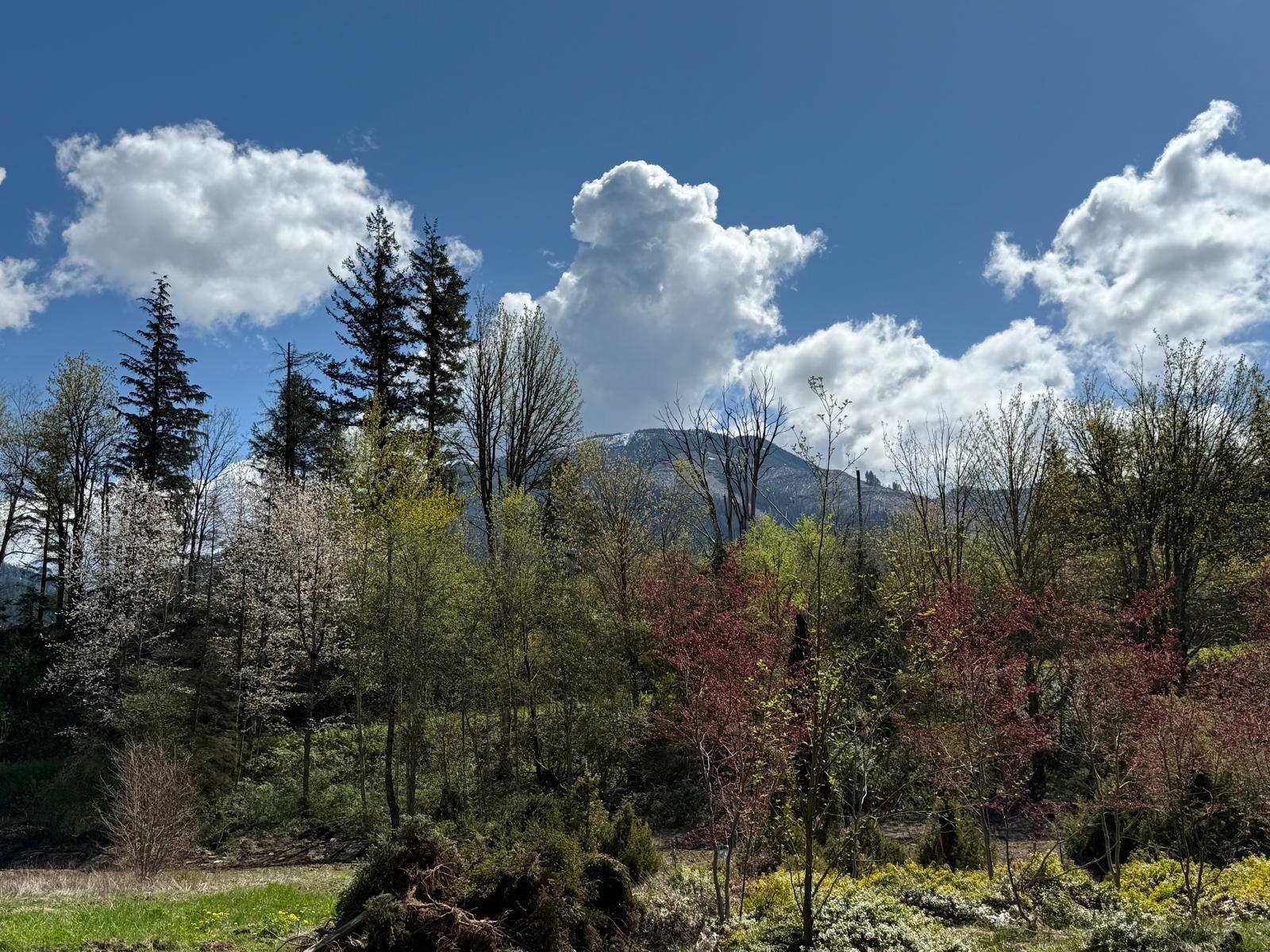 1153 Kosikar Road, Columbia Valley, Columbia Valley, British Columbia  V2R 4X7 - Photo 10 - R3108680