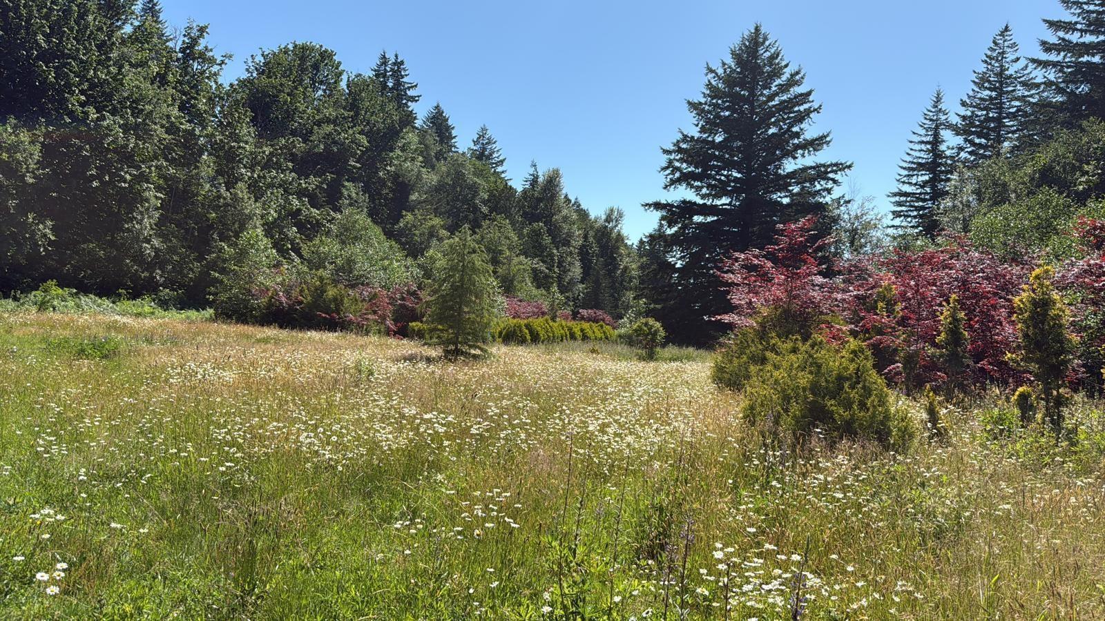 1153 Kosikar Road, Columbia Valley, Columbia Valley, British Columbia  V2R 4X7 - Photo 11 - R3108680