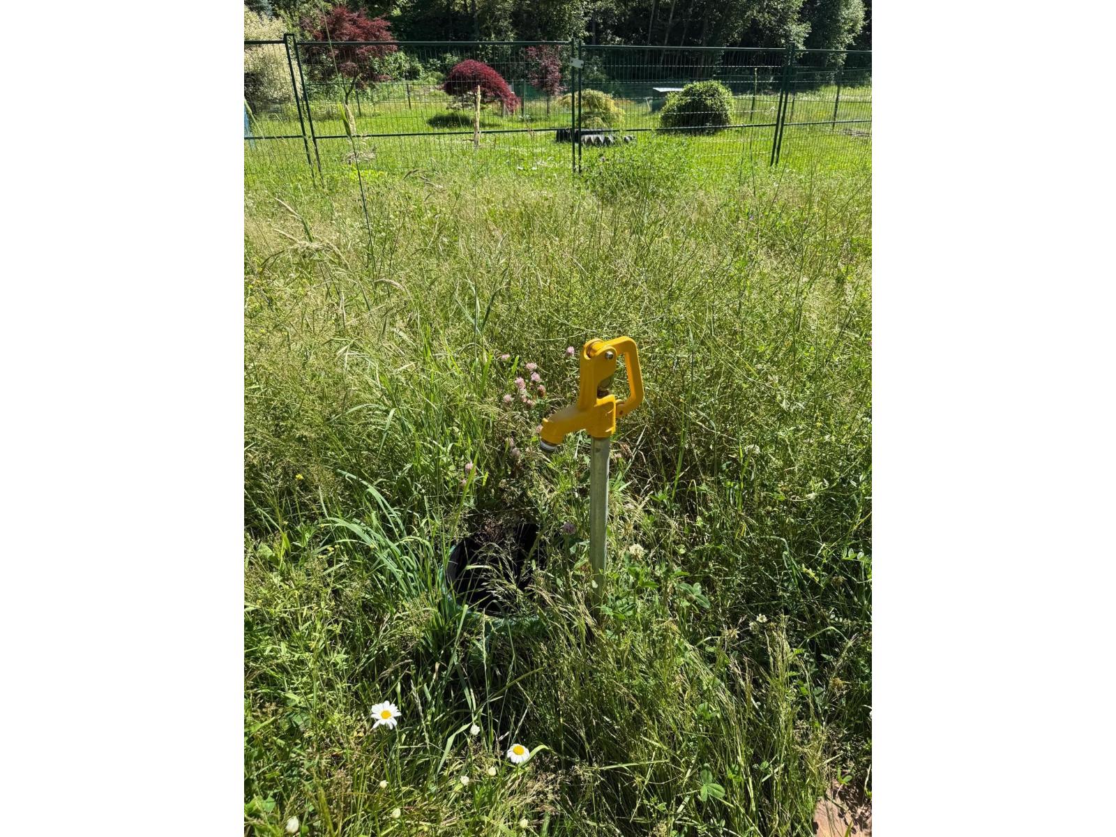 1153 Kosikar Road, Columbia Valley, Columbia Valley, British Columbia  V2R 4X7 - Photo 15 - R3108680