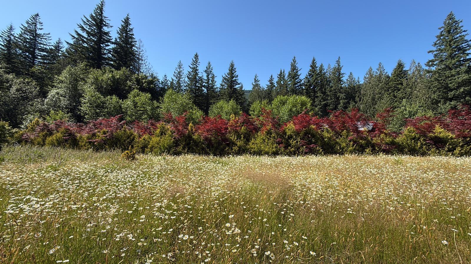 1153 Kosikar Road, Columbia Valley, Columbia Valley, British Columbia  V2R 4X7 - Photo 16 - R3108680