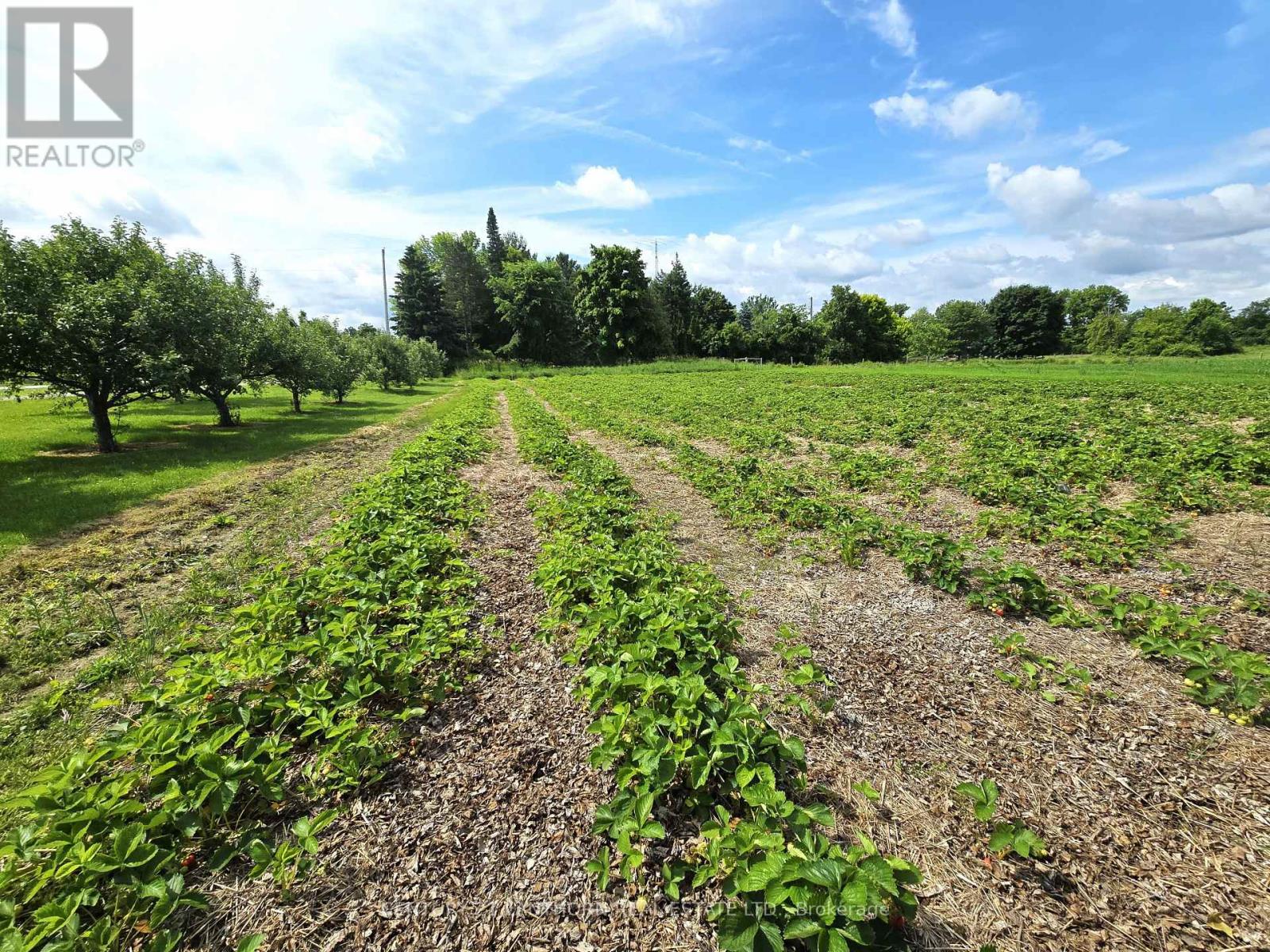 11449 Highway 62 Highway, Centre Hastings, Ontario  K0K 2K0 - Photo 43 - X12972882