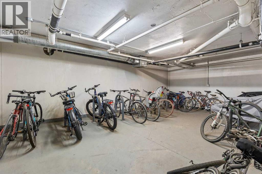 209, 301 10 Street NW, Calgary, Alberta  T2N 1V5 - Photo 21 - A2299630