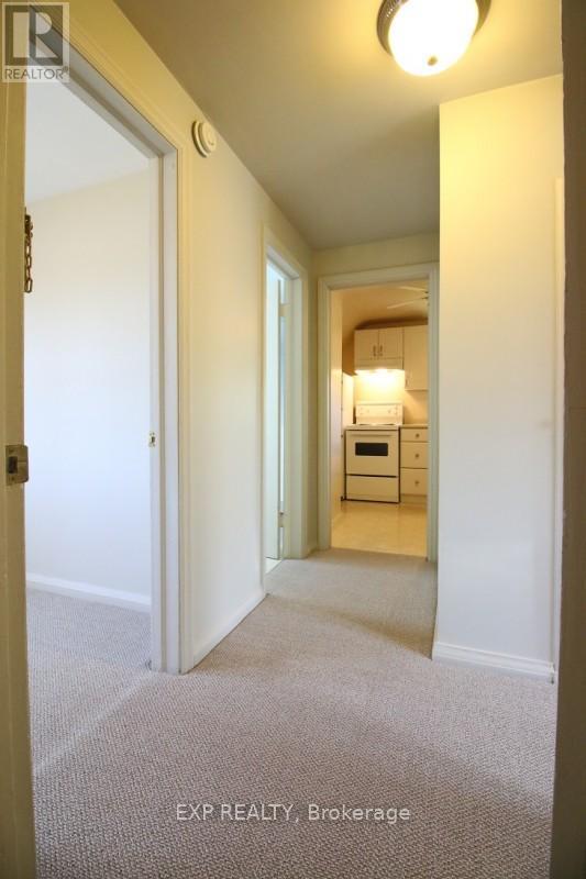 106 Haig Street, St. Catharines, Ontario  L2R 6L2 - Photo 20 - X12972844