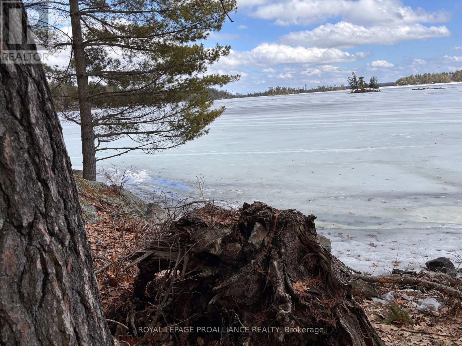 71 Fire 15 Route, North Kawartha, Ontario  K0L 3E0 - Photo 31 - X12966162