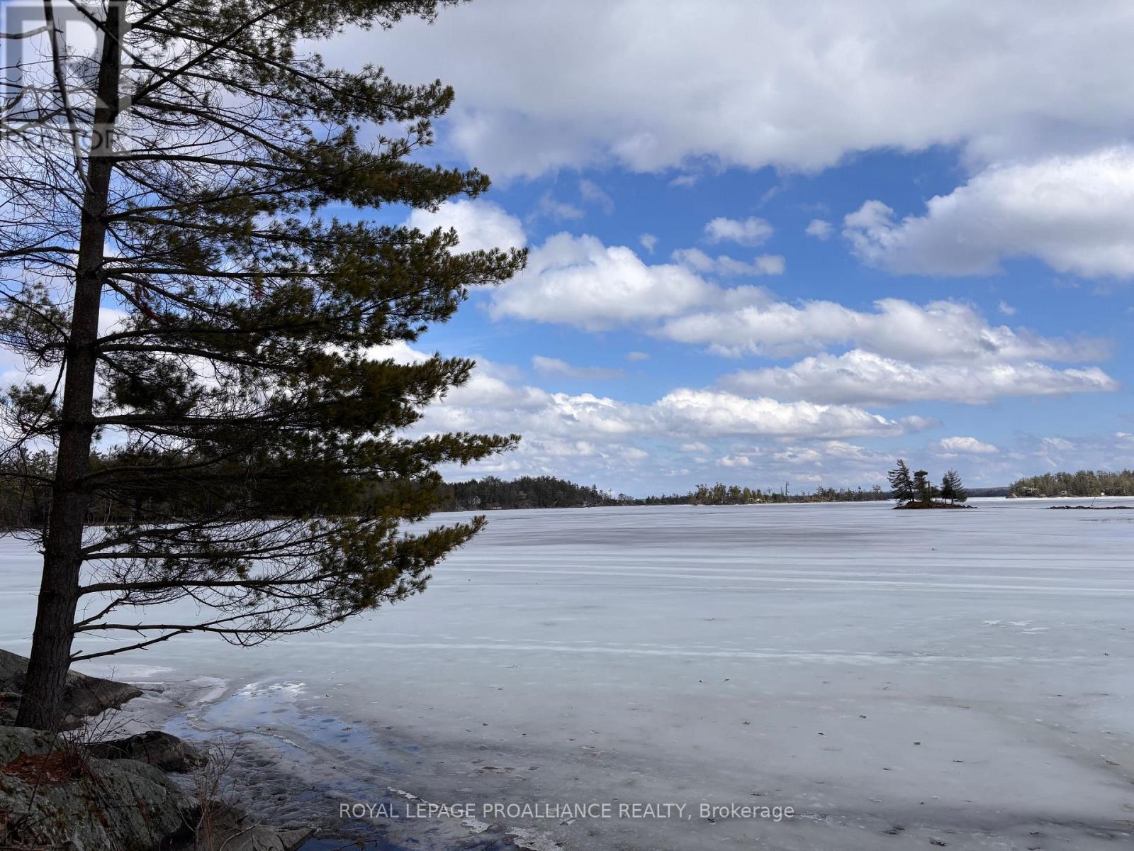 71 Fire 15 Route, North Kawartha, Ontario  K0L 3E0 - Photo 32 - X12966162