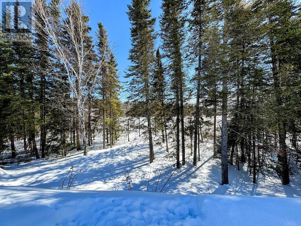 48 Redwing Ave, Manitouwadge, Ontario  P0T 2C0 - Photo 33 - TB2600650