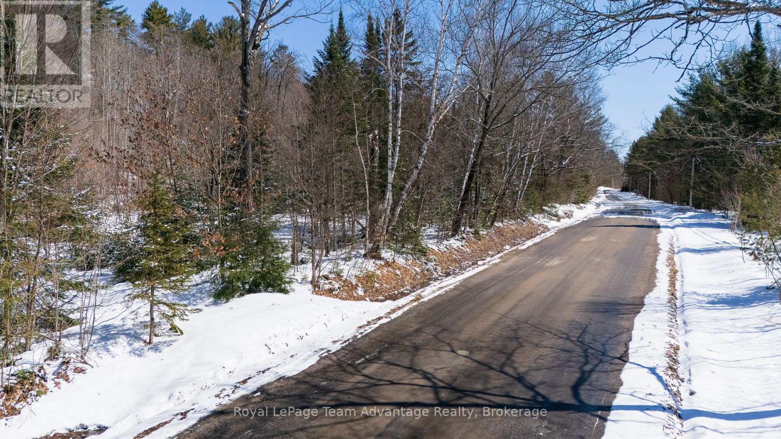 0 Turtle Lake Road, Seguin, Ontario  P0C 1J0 - Photo 4 - X12973104