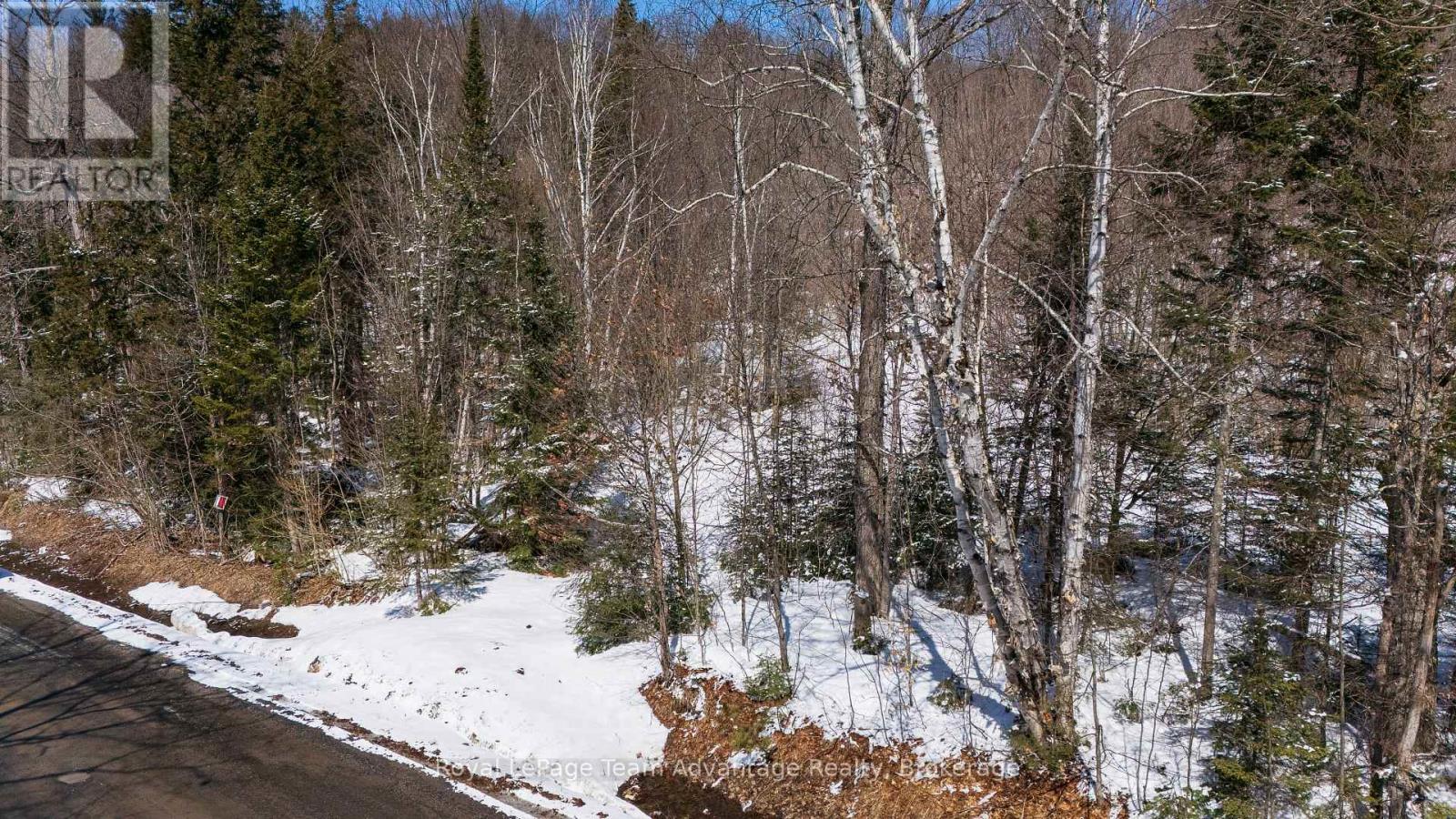 0 Turtle Lake Road, Seguin, Ontario  P0C 1J0 - Photo 9 - X12973104