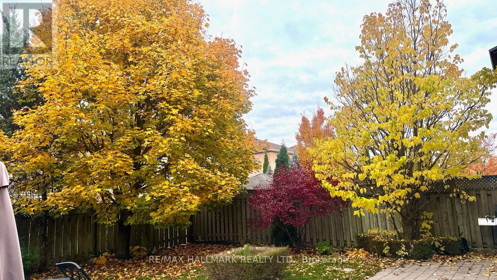 Main - 45 Oland Drive, Vaughan, Ontario  L4H 2H2 - Photo 38 - N12972916