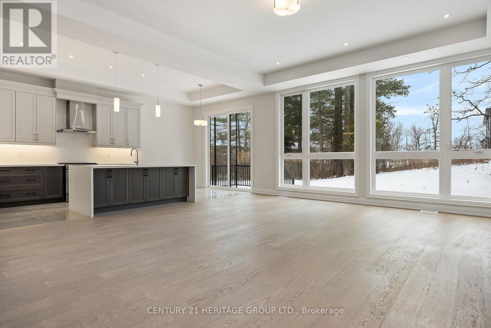 159 Snively Street, Richmond Hill, Ontario  L4E 3E9 - Photo 3 - N12973060