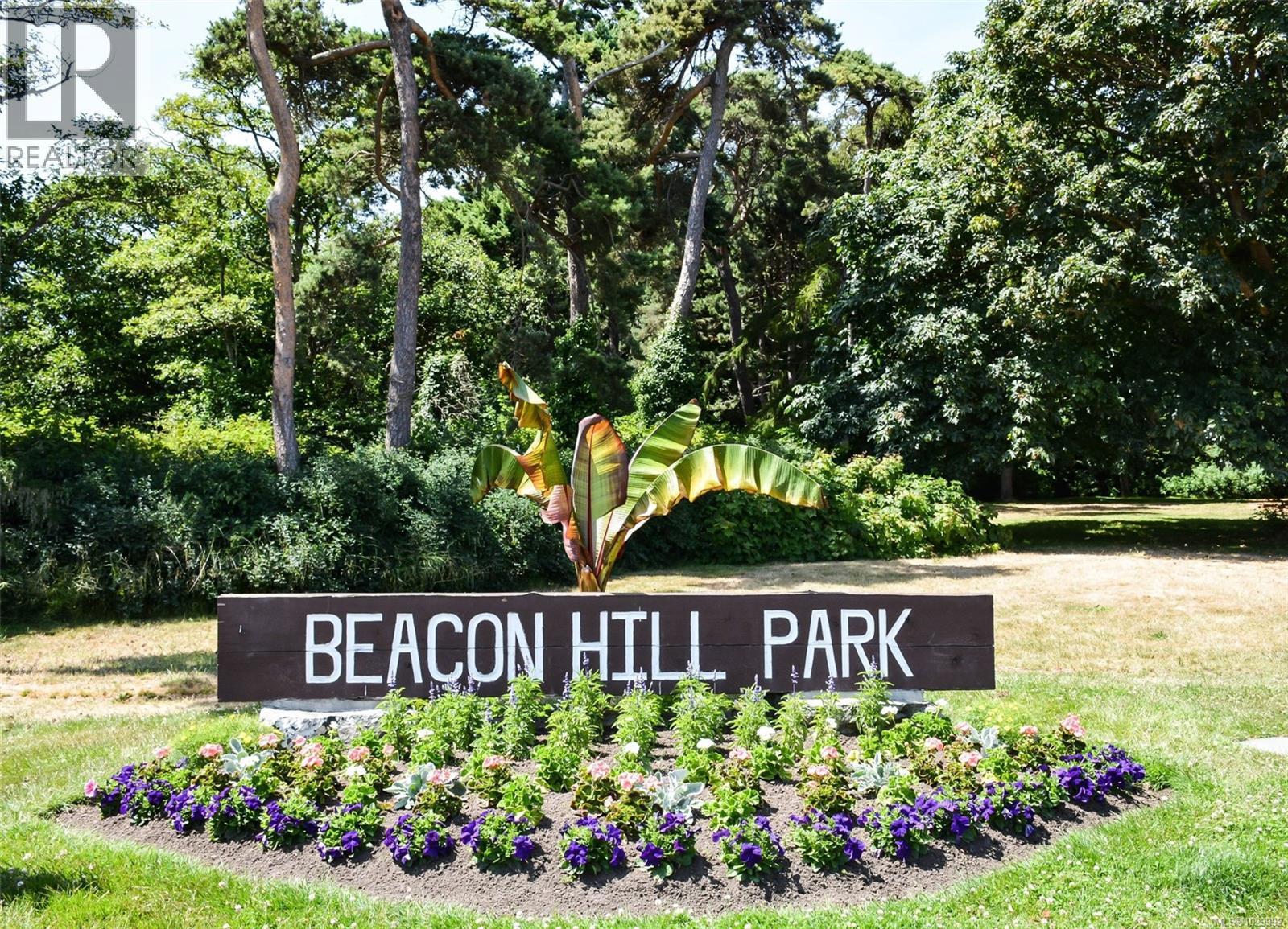 421 Vancouver St, Victoria, British Columbia  V8V 3T4 - Photo 52 - 1029992