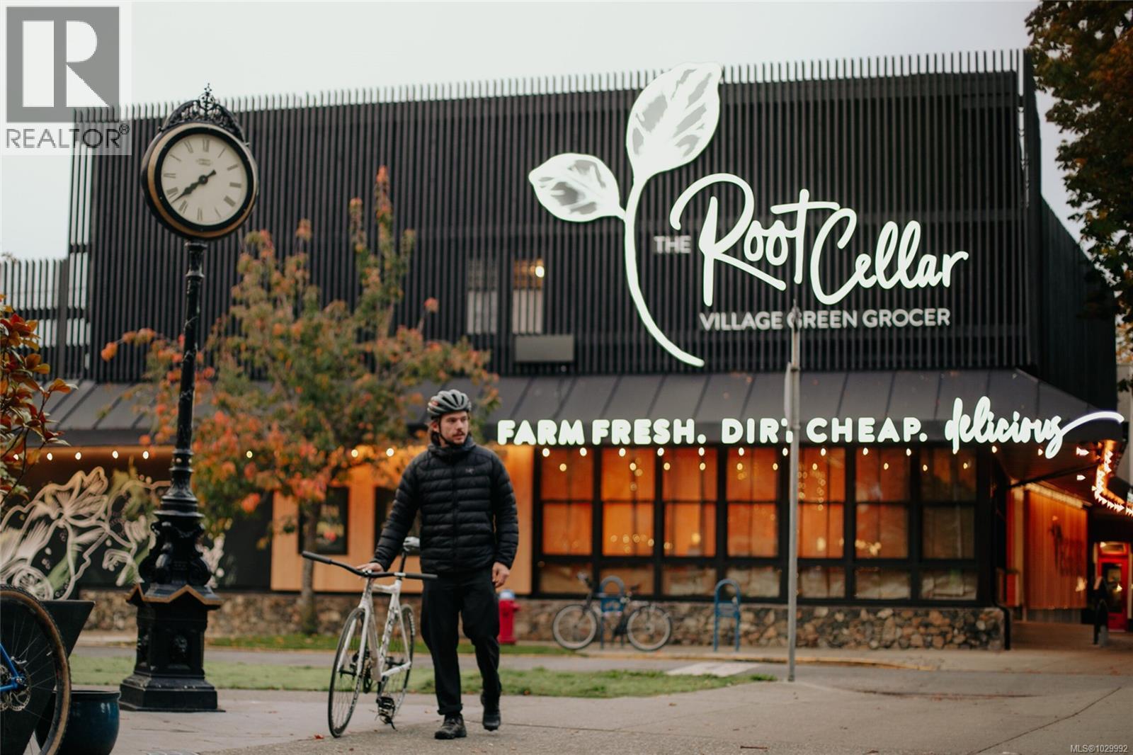 421 Vancouver St, Victoria, British Columbia  V8V 3T4 - Photo 53 - 1029992