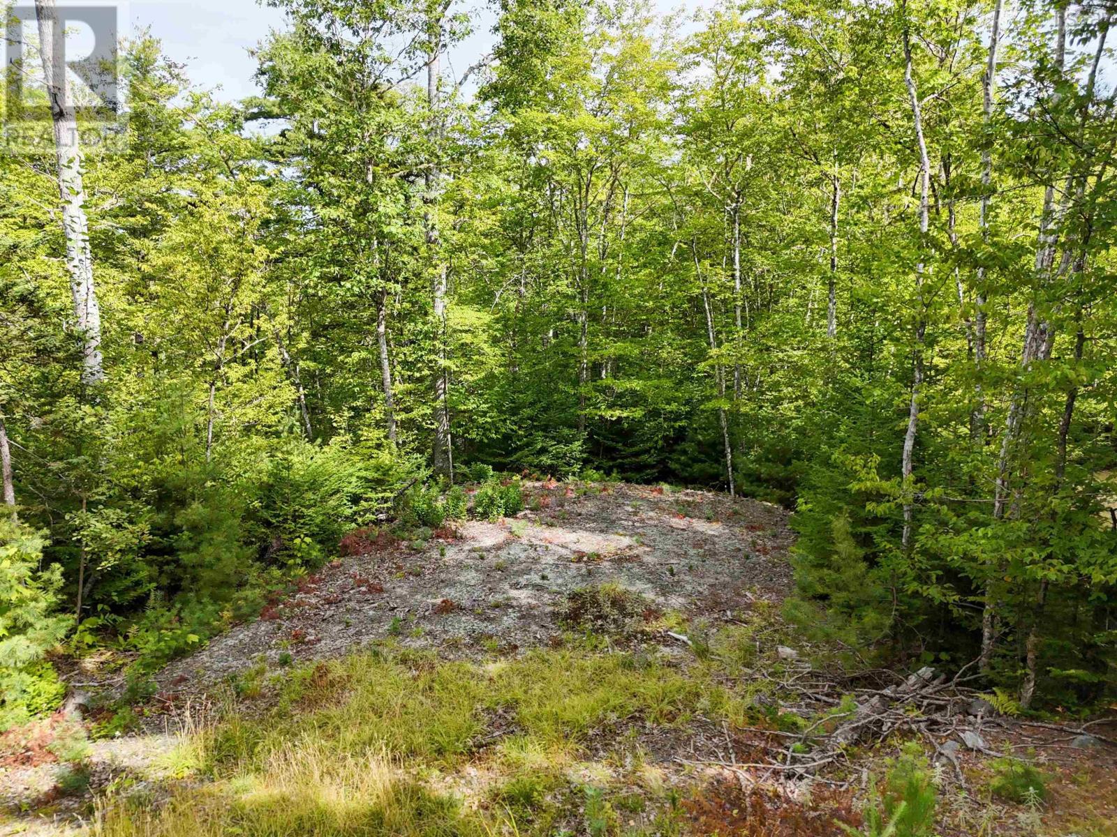 37 148 Uhlman Point Road, Molega North, Nova Scotia  B0T 1X0 - Photo 4 - 202521373