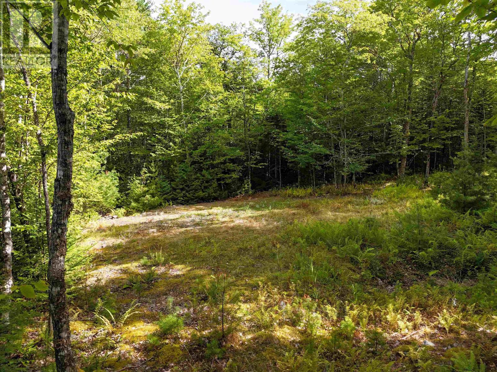 37 148 Uhlman Point Road, Molega North, Nova Scotia  B0T 1X0 - Photo 6 - 202521373