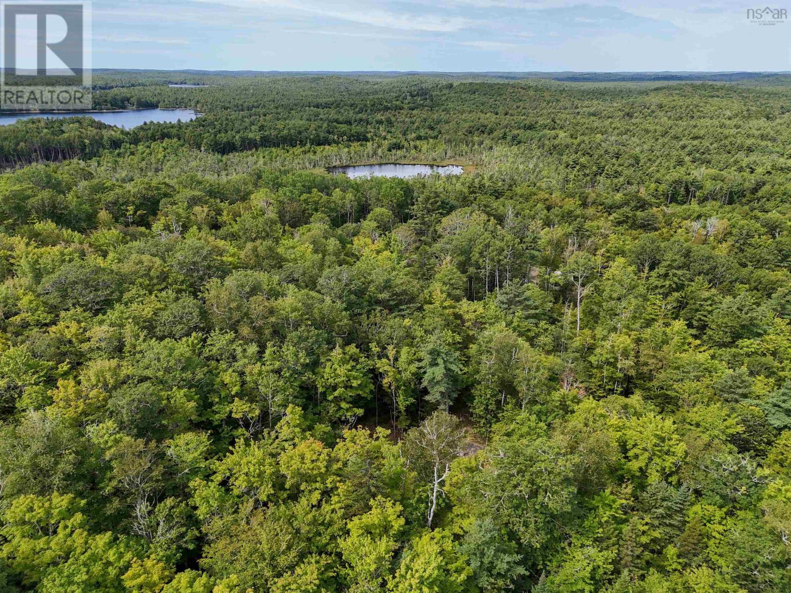 35 142 Uhlman Point Road, Molega North, Nova Scotia B0T 1X0 - Photo 6 - 202521374