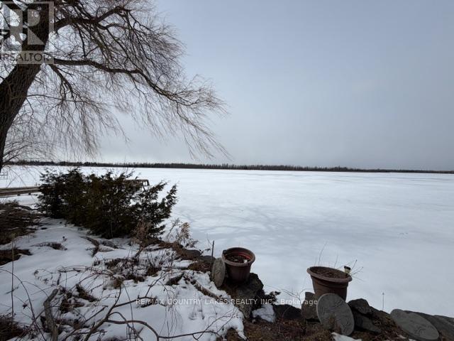 135 Driftwood Shores Road, Kawartha Lakes, Ontario  K0M 2B0 - Photo 22 - X12969144