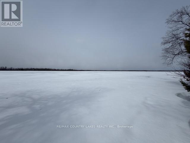 135 Driftwood Shores Road, Kawartha Lakes, Ontario  K0M 2B0 - Photo 23 - X12969144