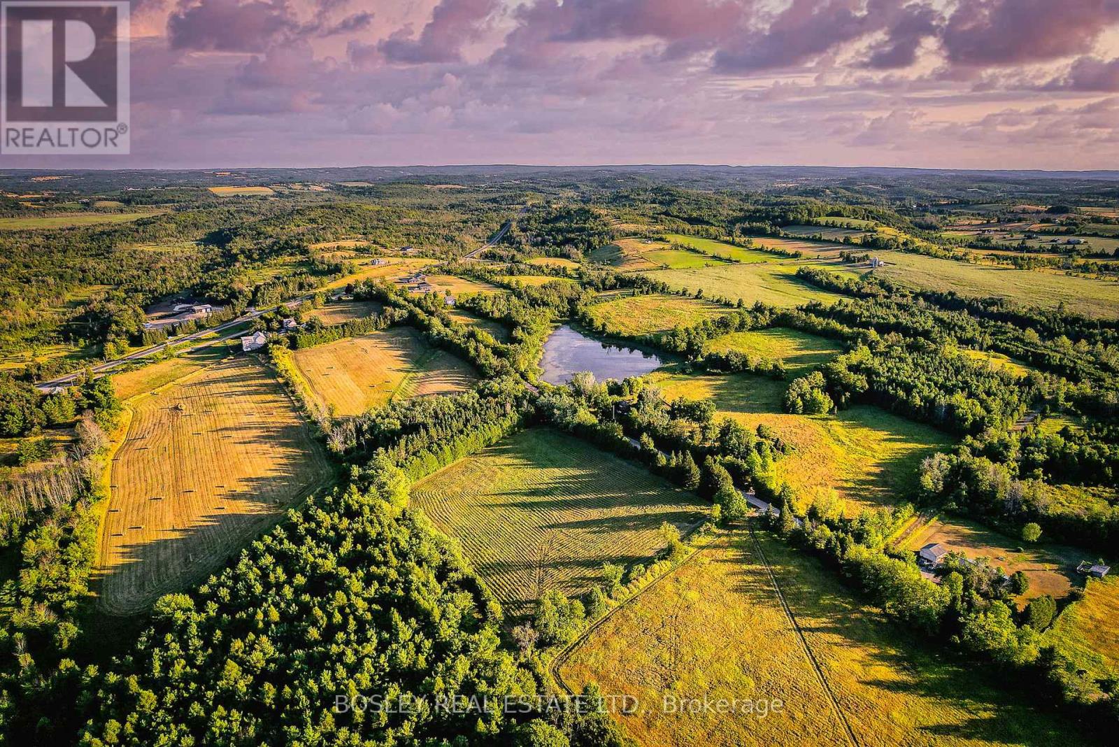 41 Silver Heights Drive, Trent Hills, Ontario K1L 1Y0 - Photo 10 - X12762202