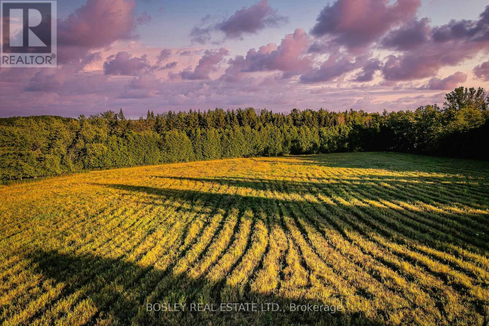 41 Silver Heights Drive, Trent Hills, Ontario K1L 1Y0 - Photo 17 - X12762202