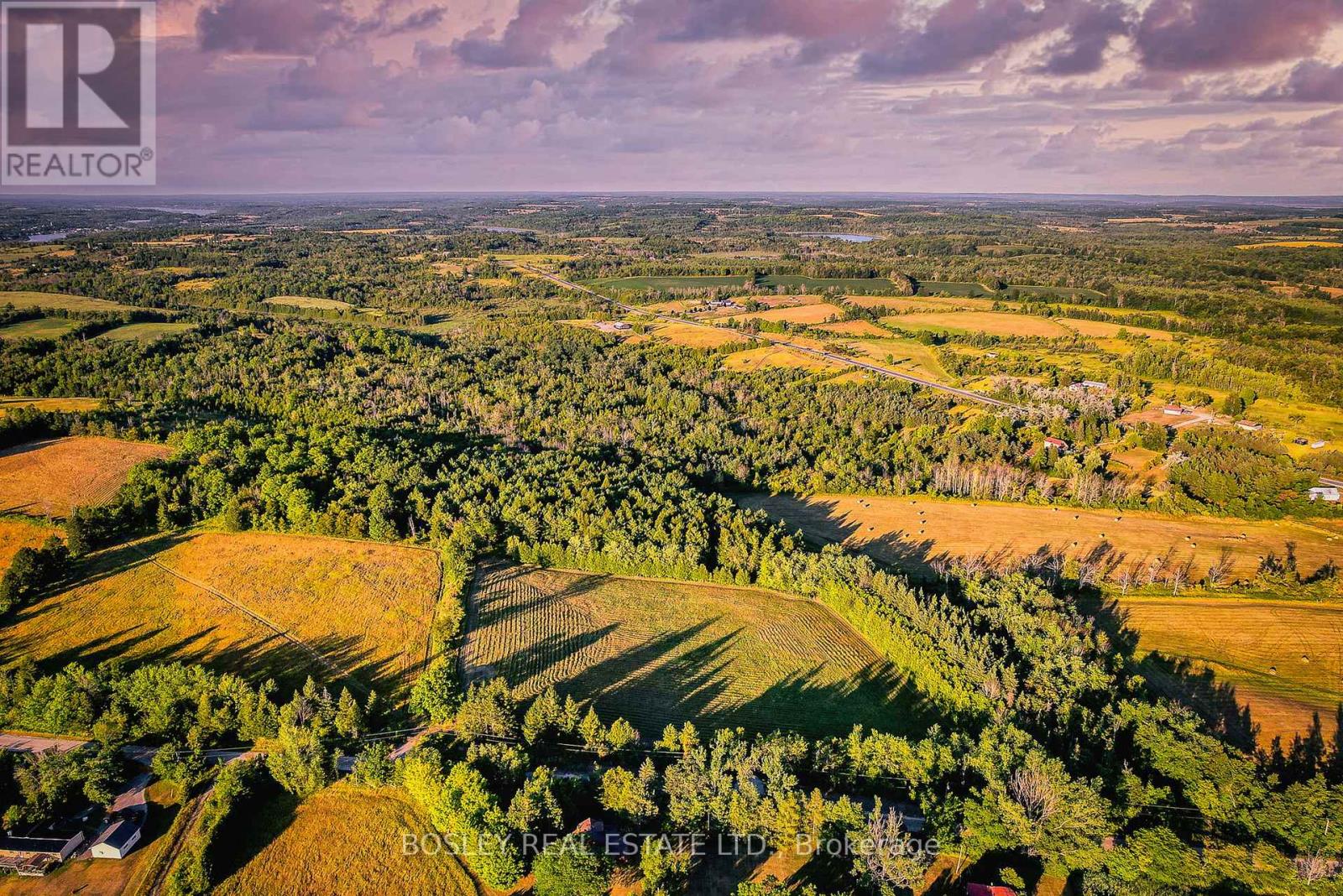 41 Silver Heights Drive, Trent Hills, Ontario K1L 1Y0 - Photo 8 - X12762202