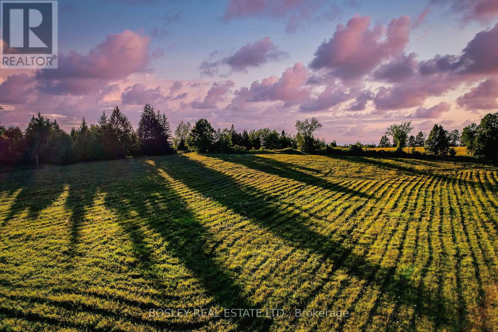 41 Silver Heights Drive, Trent Hills, Ontario K1L 1Y0 - Photo 18 - X12762202