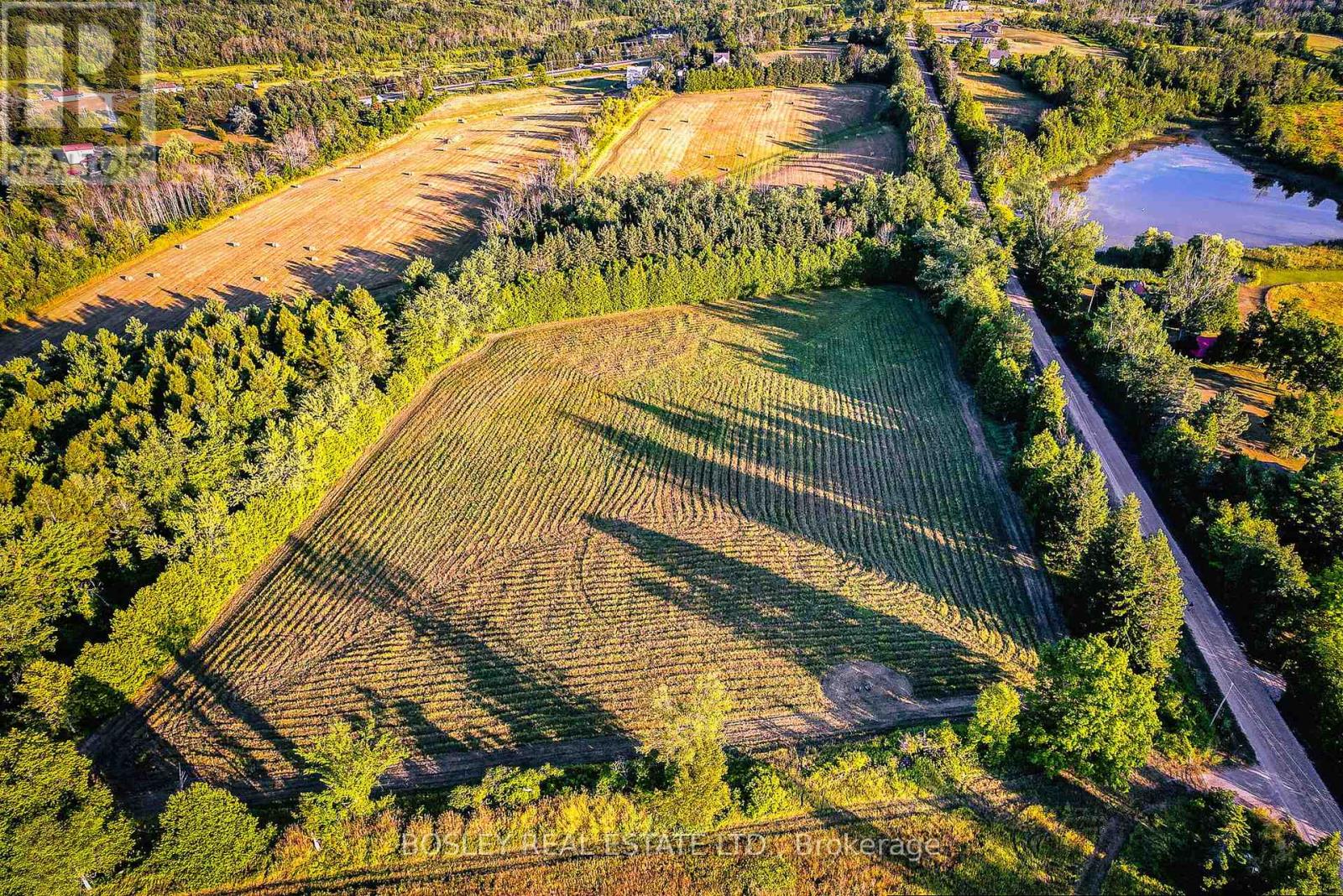 41 Silver Heights Drive, Trent Hills, Ontario K1L 1Y0 - Photo 4 - X12762202