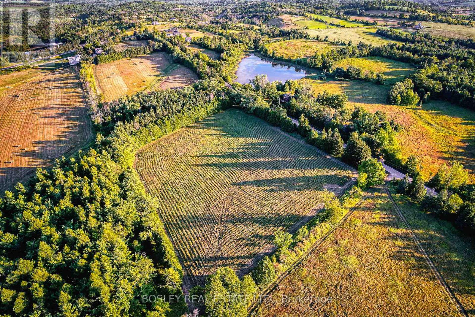 41 Silver Heights Drive, Trent Hills, Ontario K1L 1Y0 - Photo 5 - X12762202