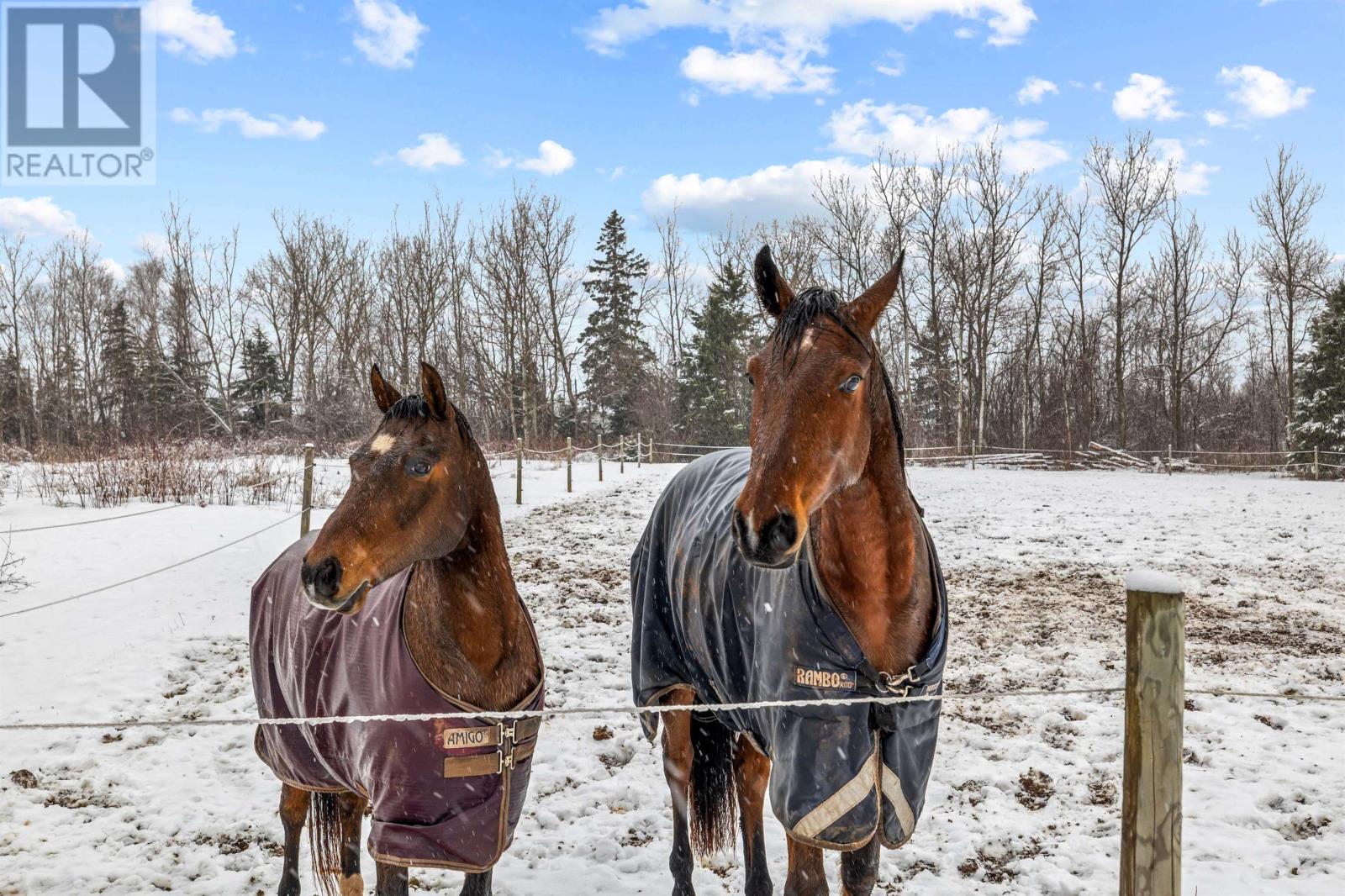 770 Donaldston Rd - Rte 219, Donaldston, Prince Edward Island  C0A 1T0 - Photo 23 - 202605365