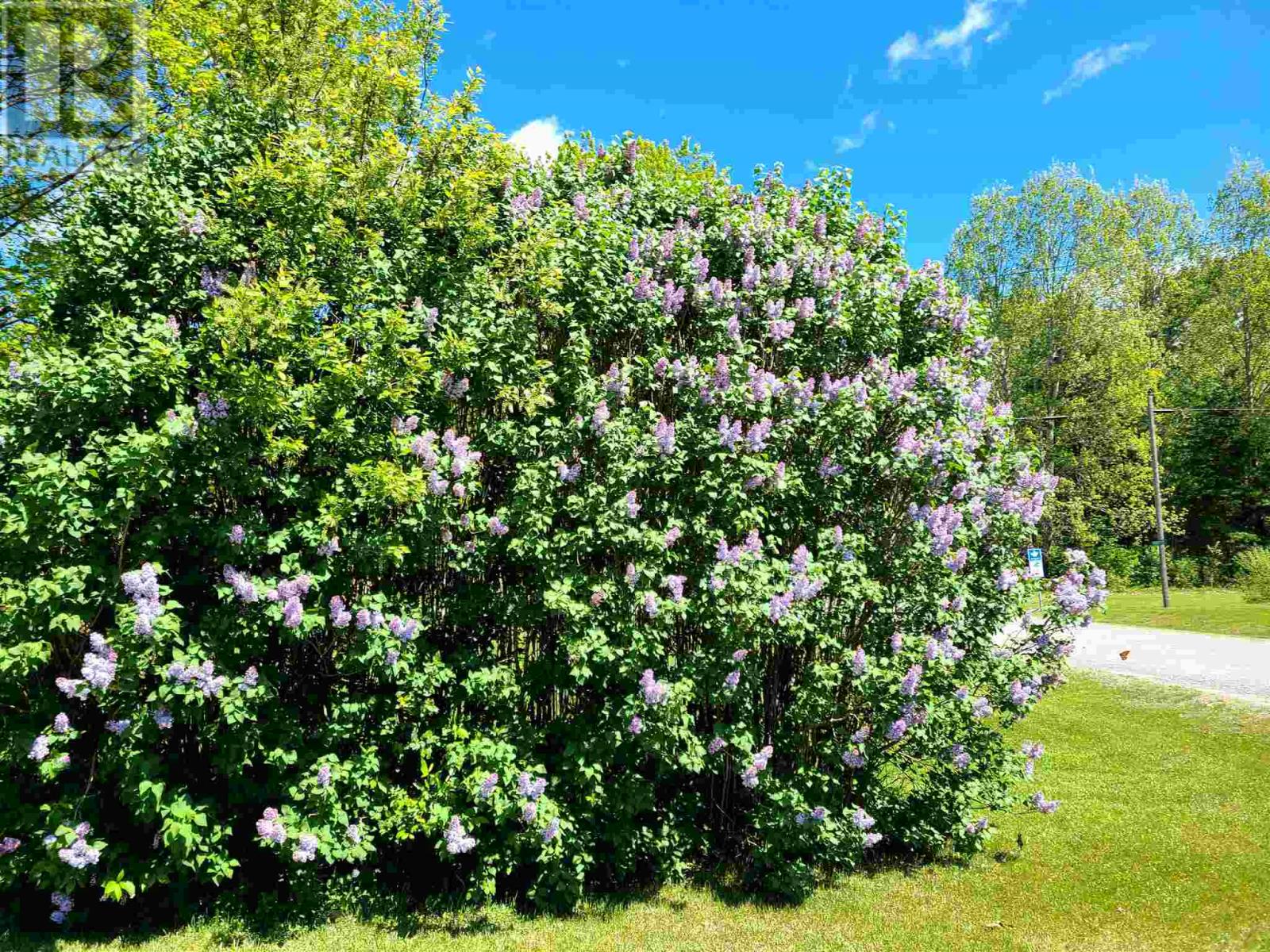 5 Forest St, Iron Bridge, Ontario  P0R 1H0 - Photo 37 - SM260113