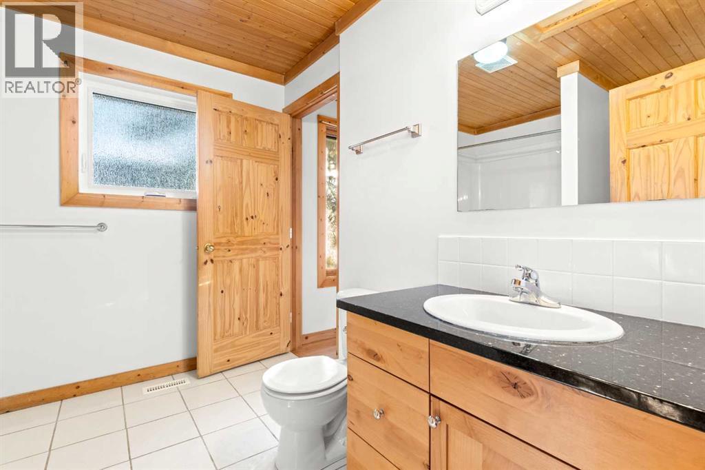 2018 24 Avenue, Didsbury, Alberta  T0M 0W0 - Photo 21 - A2282500