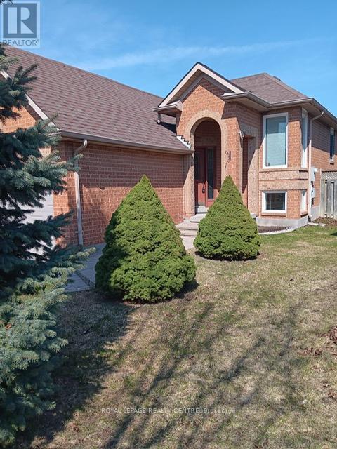 57 Royal Orchard Drive, Brampton, Ontario  L6X 4M5 - Photo 3 - W12973332