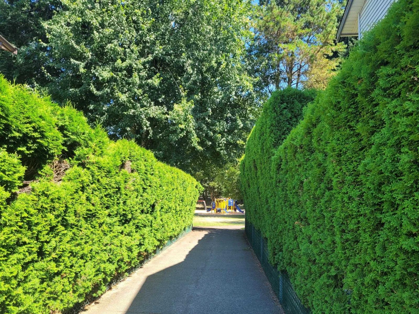 3015 Cassiar Avenue, Abbotsford, British Columbia  V2S 6B7 - Photo 27 - R3107149