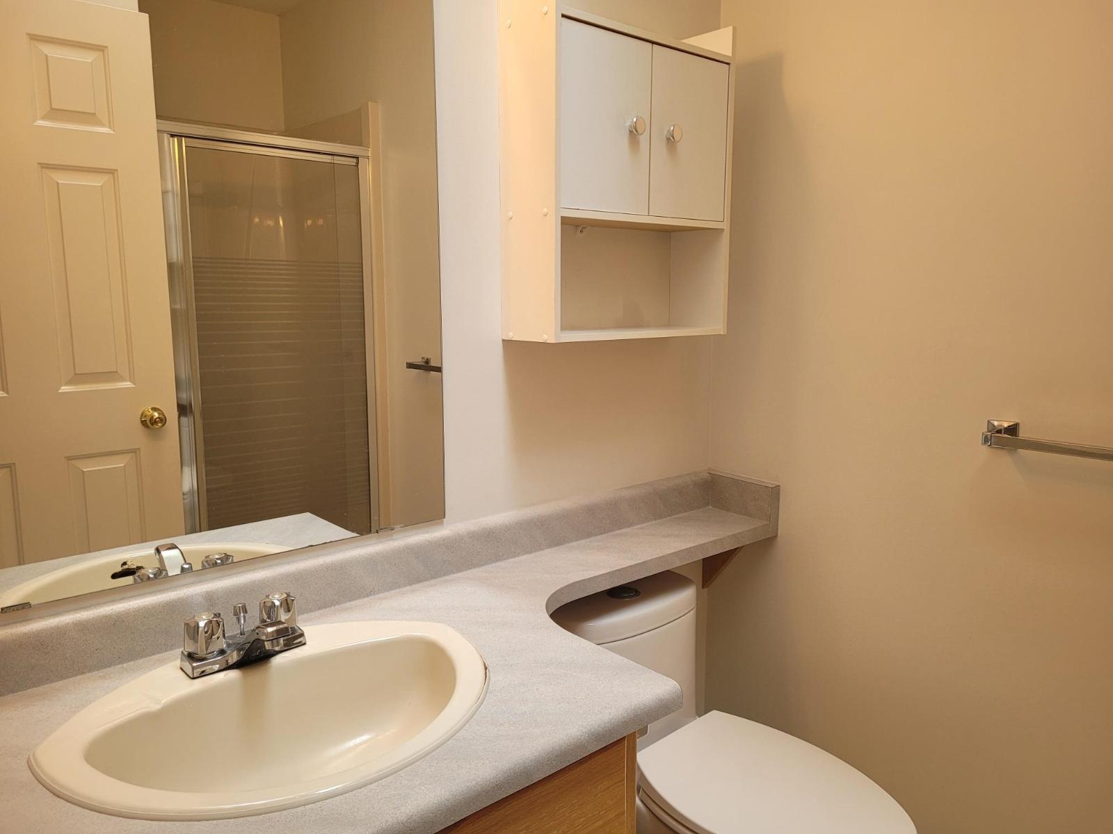 3015 Cassiar Avenue, Abbotsford, British Columbia  V2S 6B7 - Photo 10 - R3107149