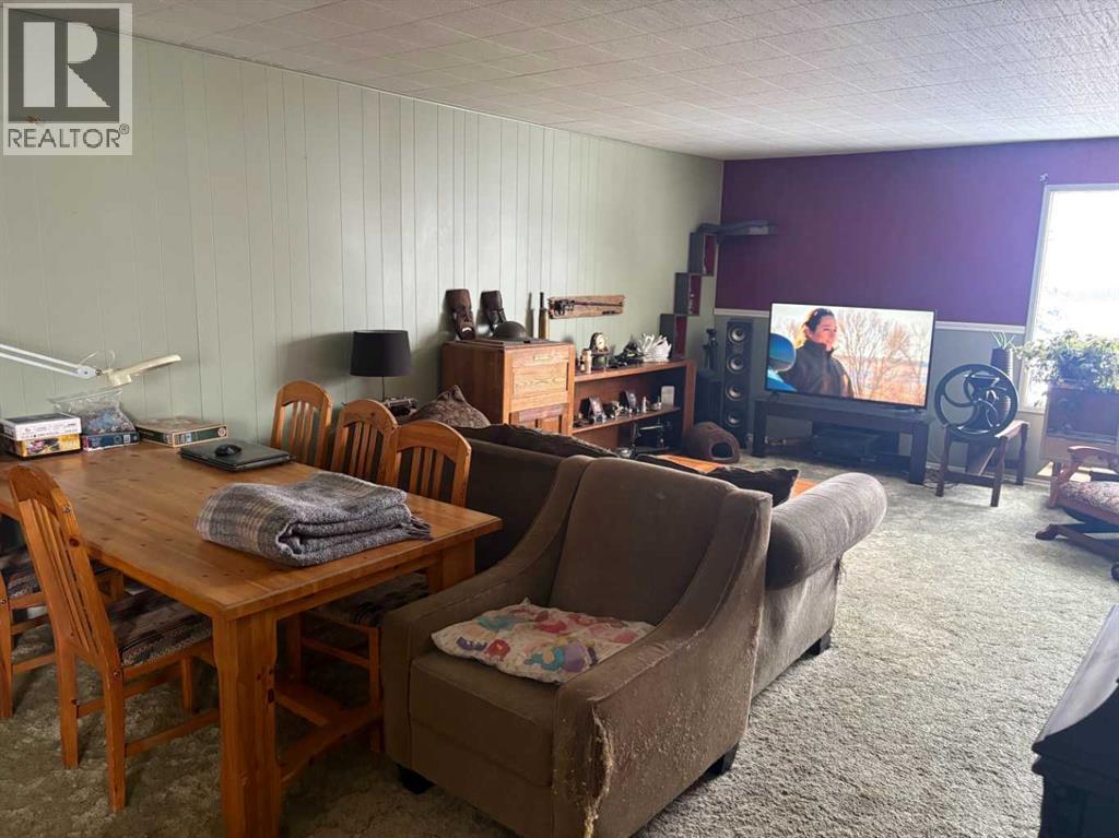 64050 Hwy 49, Rural Spirit River No. 133, Alberta  T0H 3G0 - Photo 6 - A2275181