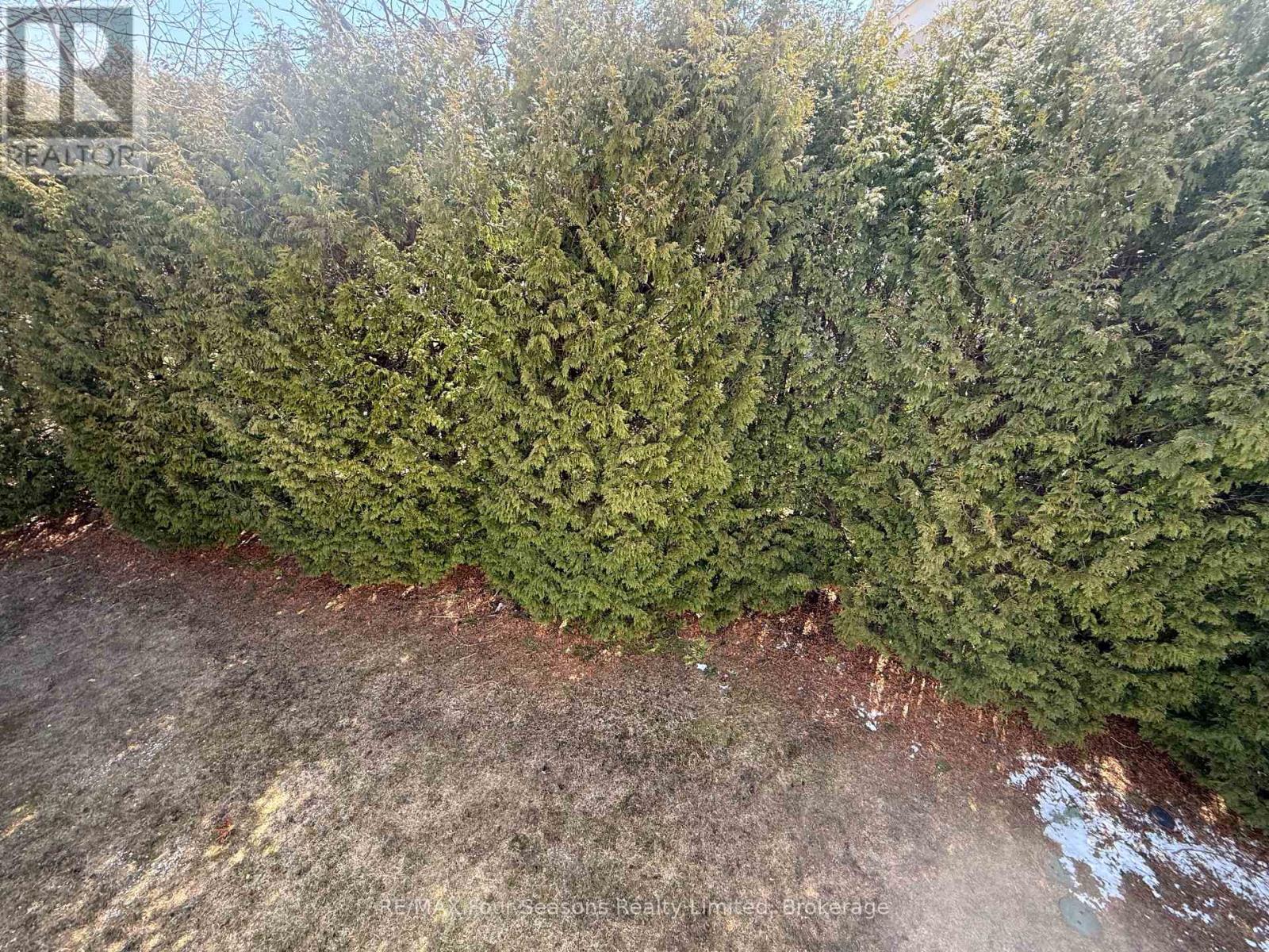 126 - 55 Trott Boulevard, Collingwood, Ontario  L9Y 5B8 - Photo 16 - S12973814