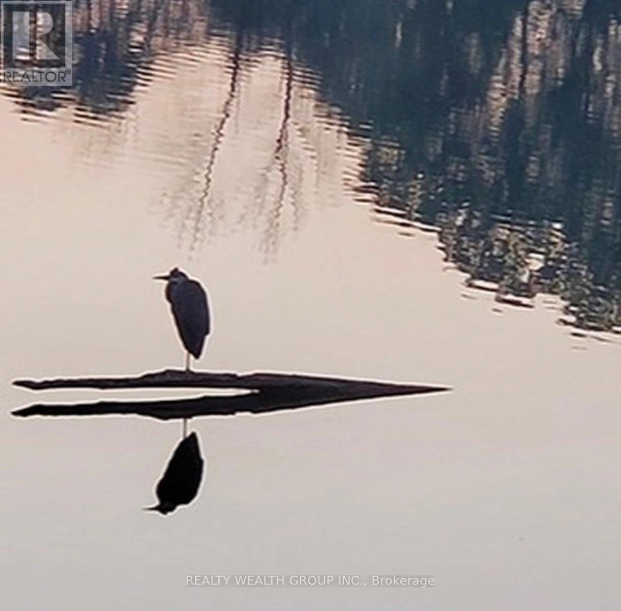 608 - 64 Queen Street S, New Tecumseth, Ontario  L0G 1N0 - Photo 38 - N12973734