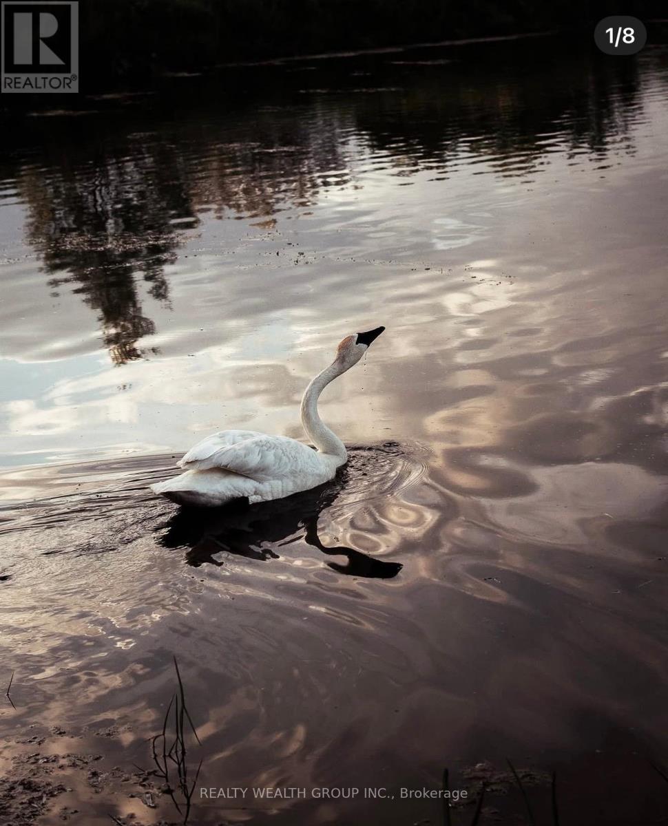 608 - 64 Queen Street S, New Tecumseth, Ontario  L0G 1N0 - Photo 39 - N12973734