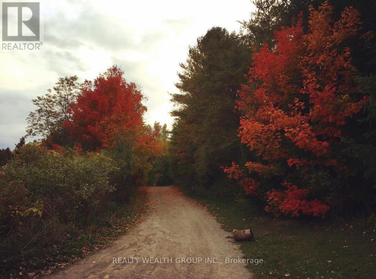 608 - 64 Queen Street S, New Tecumseth, Ontario  L0G 1N0 - Photo 40 - N12973734