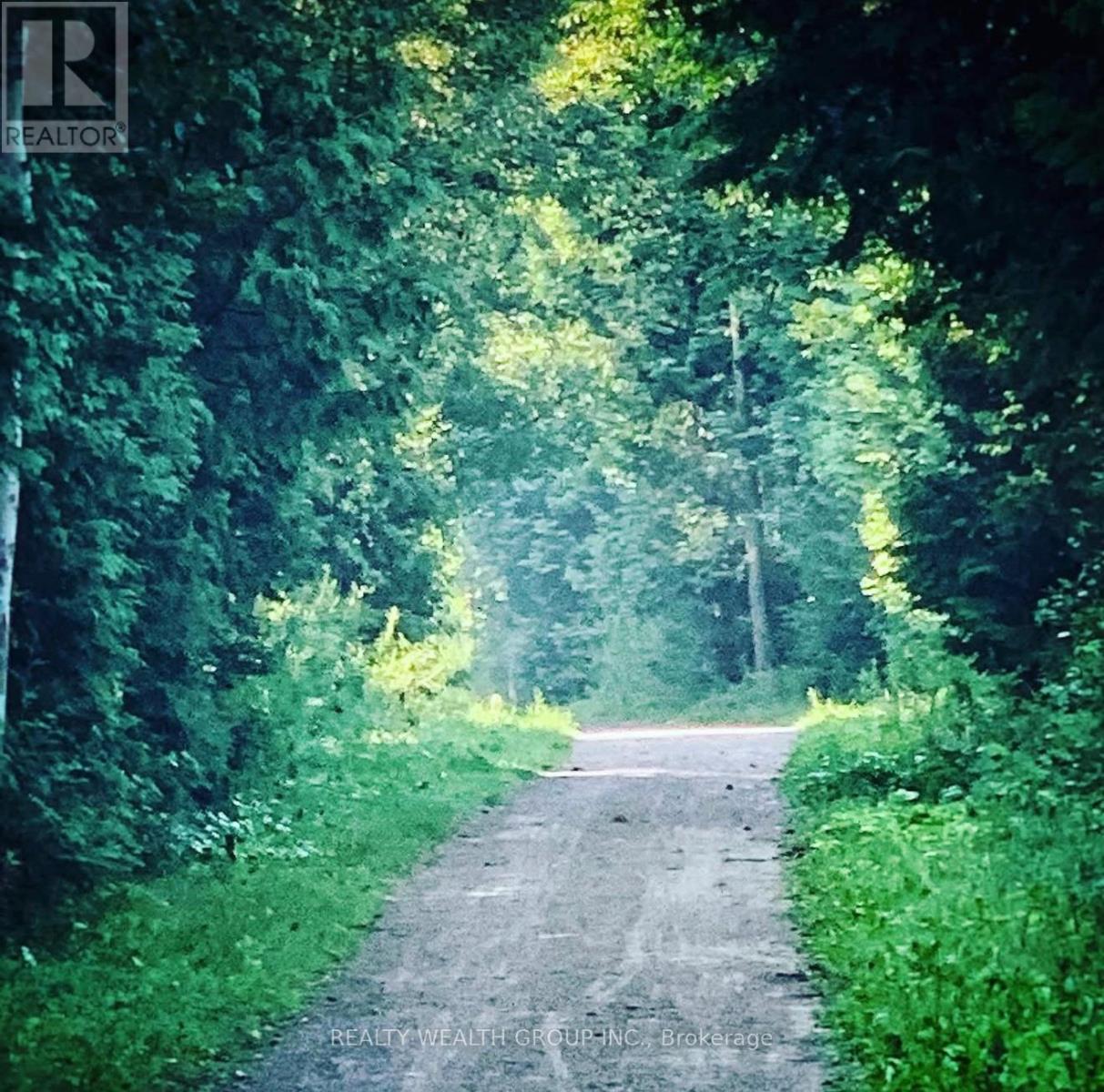 608 - 64 Queen Street S, New Tecumseth, Ontario  L0G 1N0 - Photo 43 - N12973734