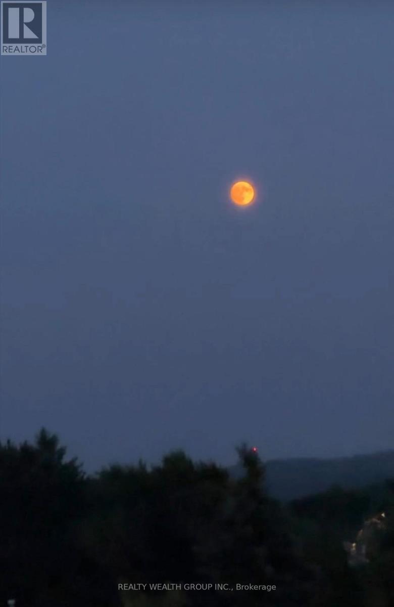 608 - 64 Queen Street S, New Tecumseth, Ontario  L0G 1N0 - Photo 48 - N12973734