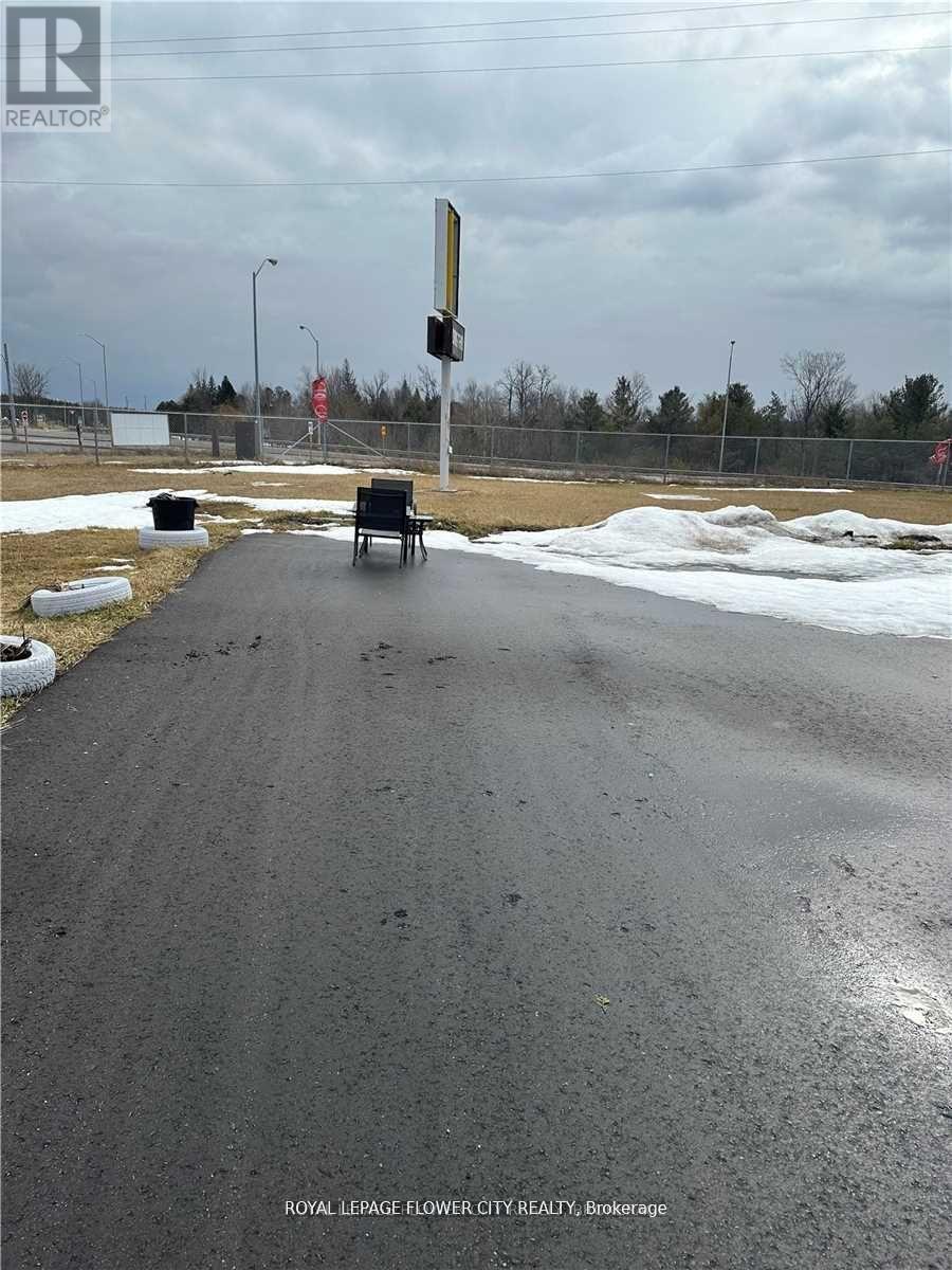 50 - 1084 County Road, Adjala-Tosorontio, Ontario  L0N 1P0 - Photo 3 - N12973738