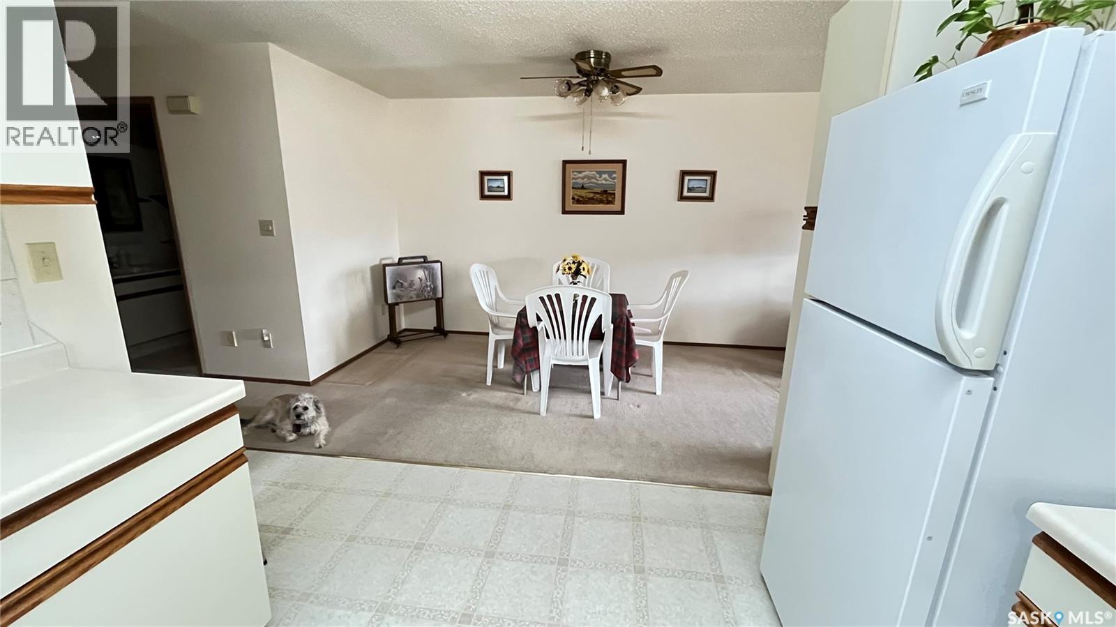 211 Maple Street, Maple Creek, Saskatchewan  S0N 1N0 - Photo 25 - SK032406