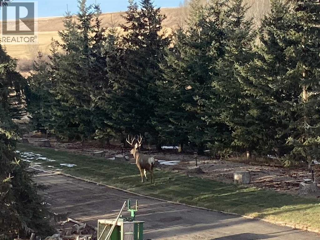 10, 30245 Range Road 12, Rural Mountain View County, Alberta  T0M 0N0 - Photo 39 - A2299460