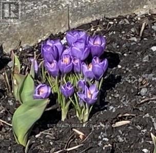 1638 Blakely Drive, Cornwall, Ontario  K6J 5L3 - Photo 30 - X12796336