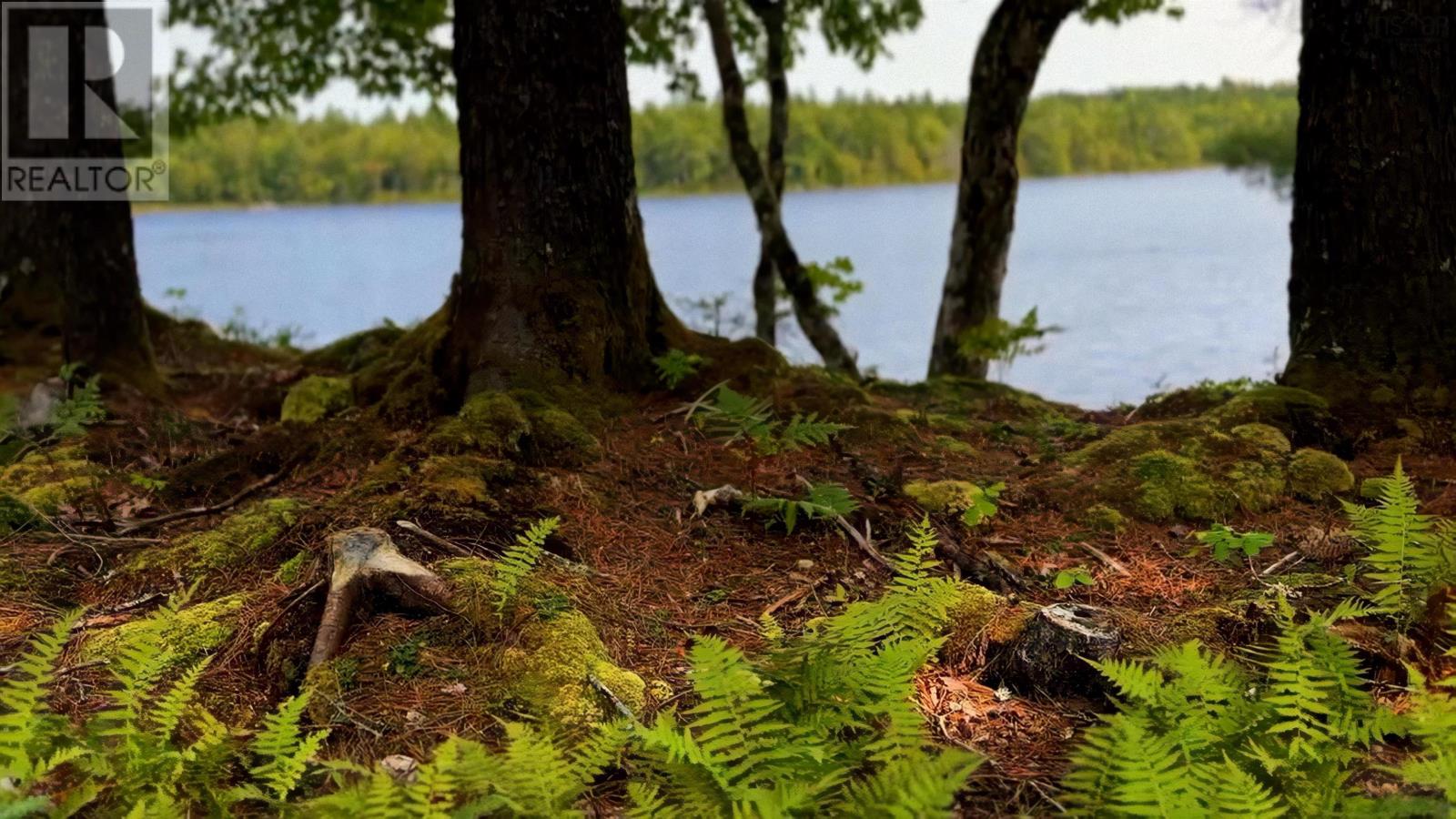 Lot 4 Robert E Road, Kemptville, Nova Scotia  B0W 1Y0 - Photo 10 - 202606686