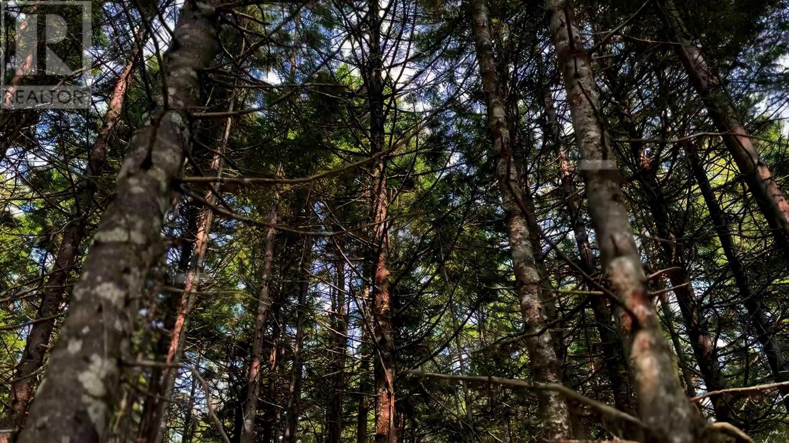 Lot 4 Robert E Road, Kemptville, Nova Scotia  B0W 1Y0 - Photo 8 - 202606686