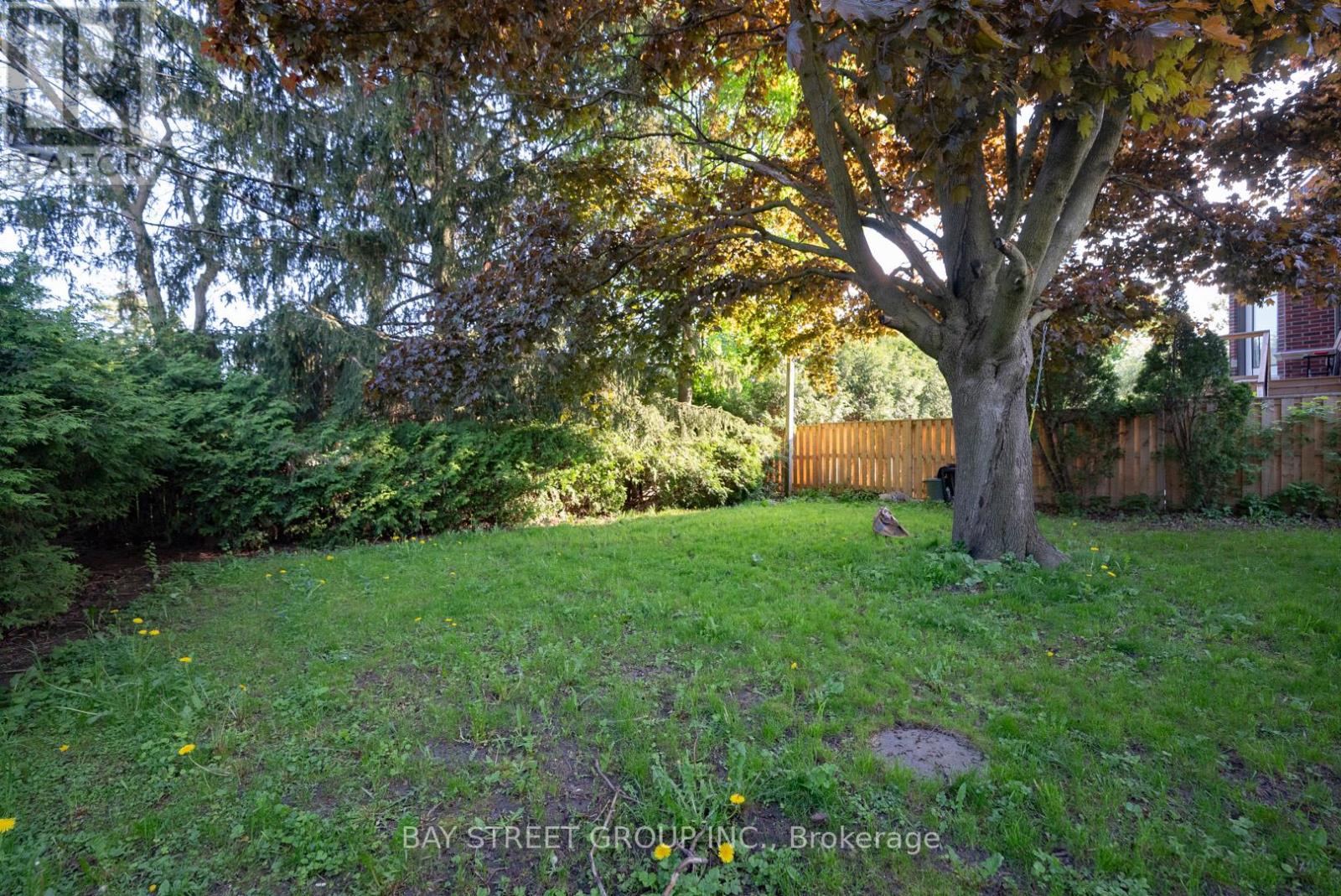 Main - 394 Centre Street E, Richmond Hill, Ontario L4C 1B7 - Photo 16 - N12973868